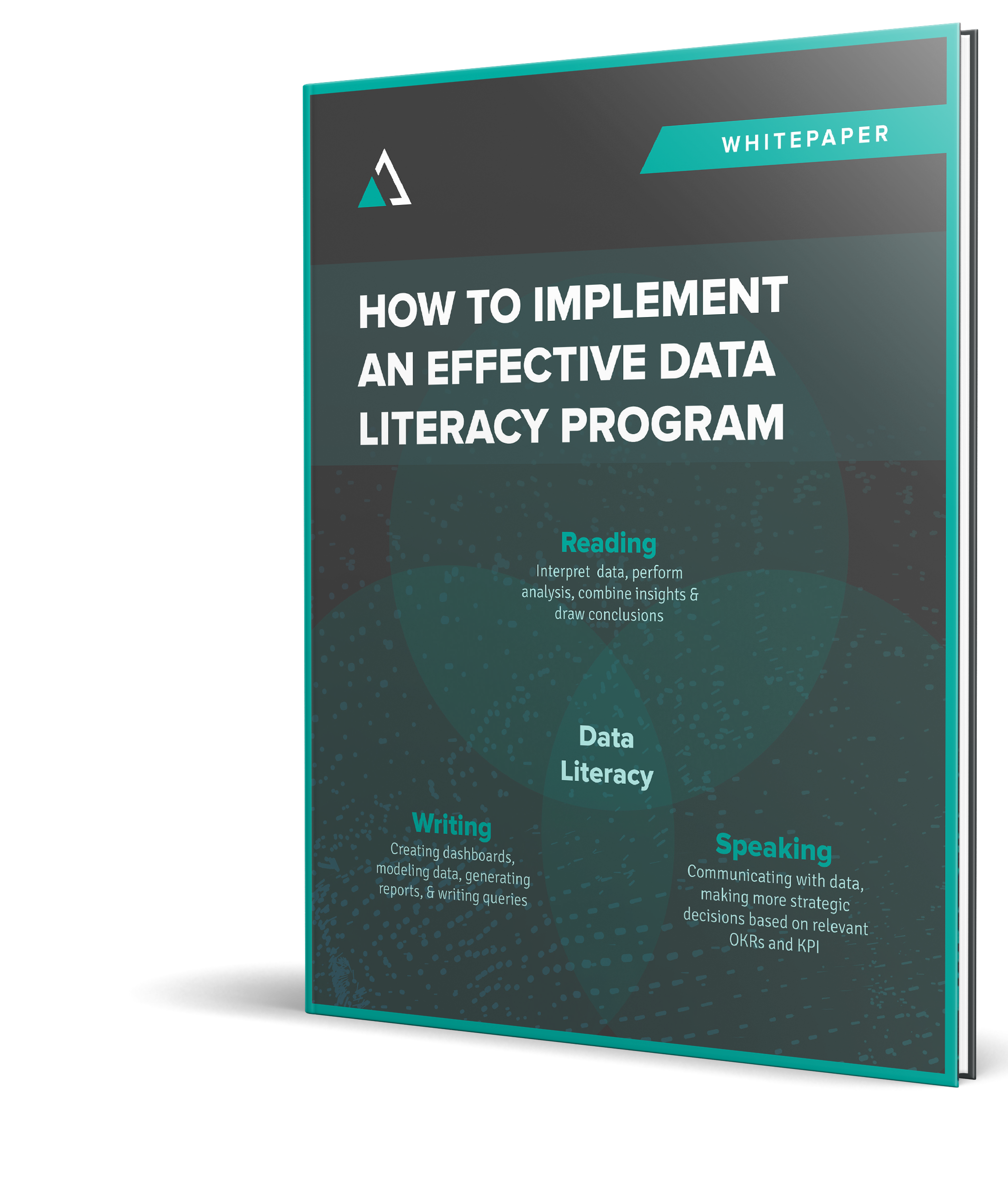 Data Literacy Whitepaper cover thumbnail