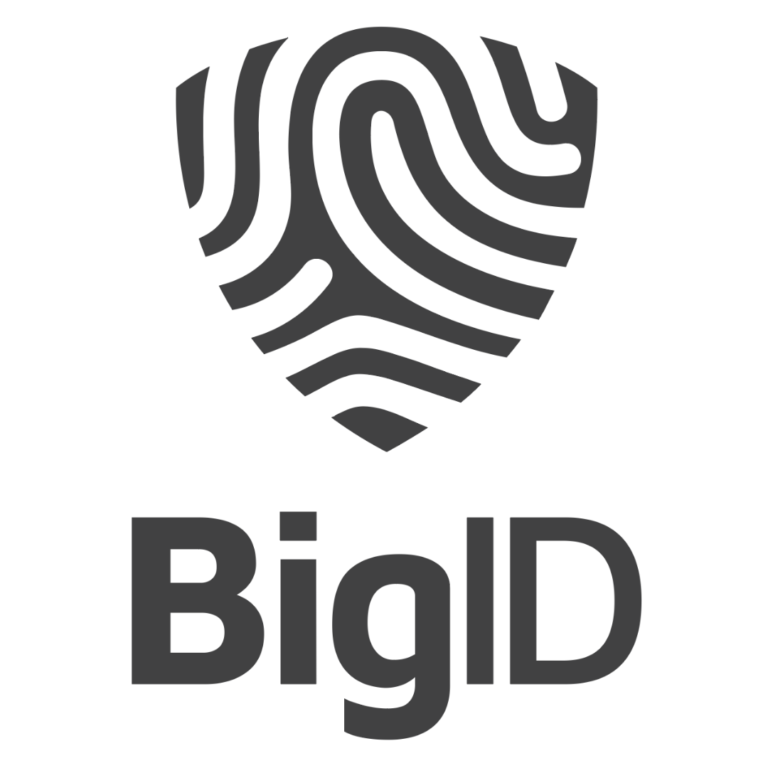 Bigid Logo