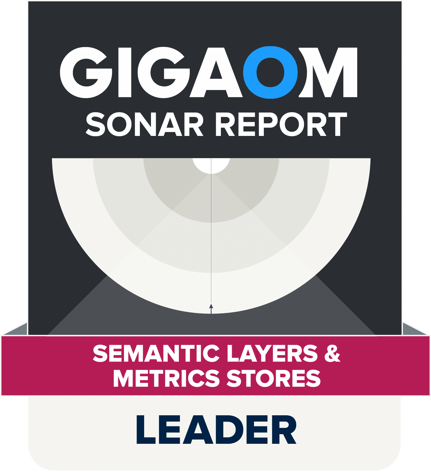 GigaOm Sonar Report - Leader